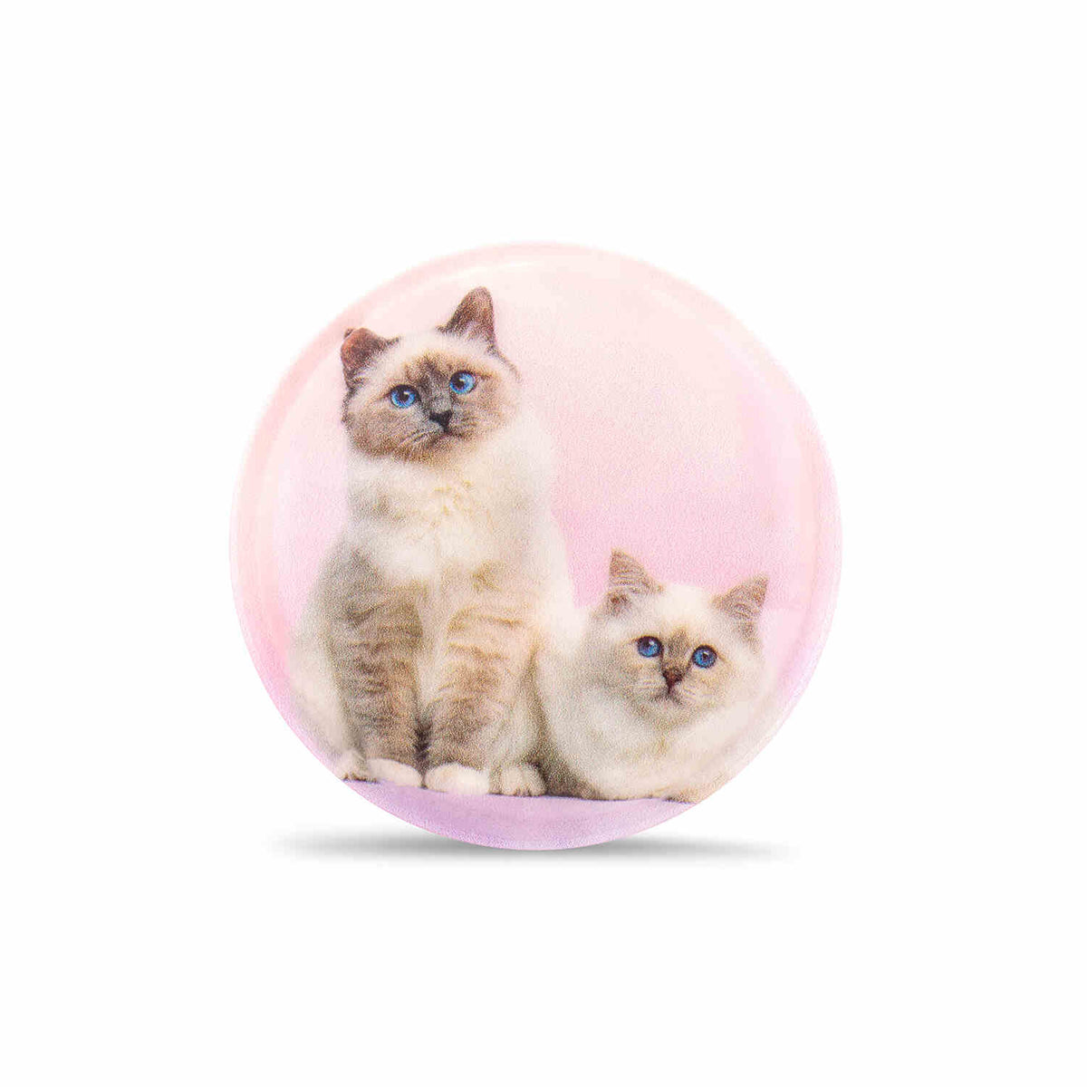 Sweet kittens patch design included in the Belmil Patch Set – 3-Piece Velcro Patches 'Cute Animals', great for customizing backpacks.