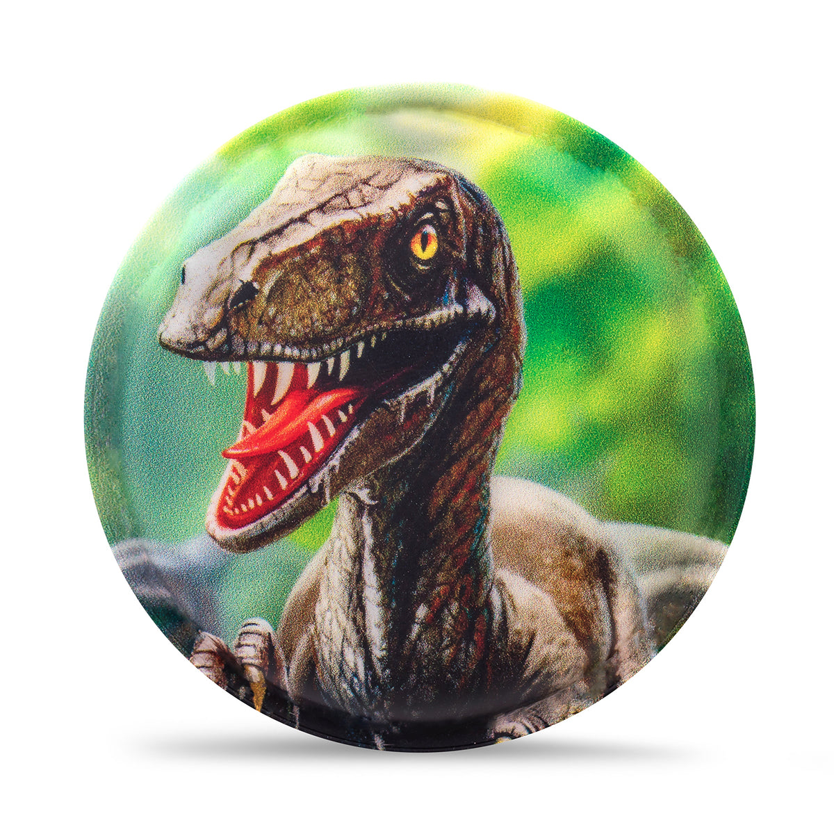 Belmil Patch Set – 6-Piece Velcro Patches "Roaring Dinos"